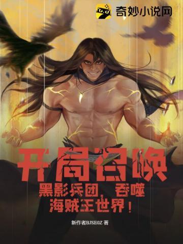 海贼开局黑影兵团第八区