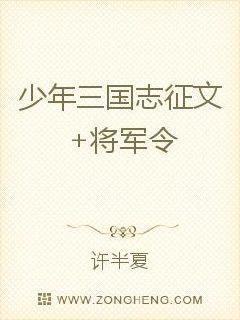 少年三国志零点将