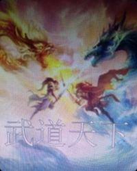 武道天下女主角有谁