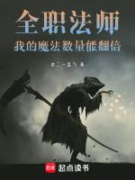 全职法师我的魔法数量能翻倍免费
