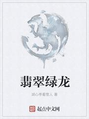 翡翠绿龙石种