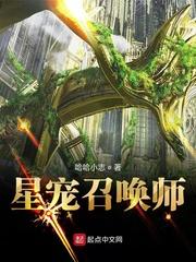 星宠召唤师好看吗