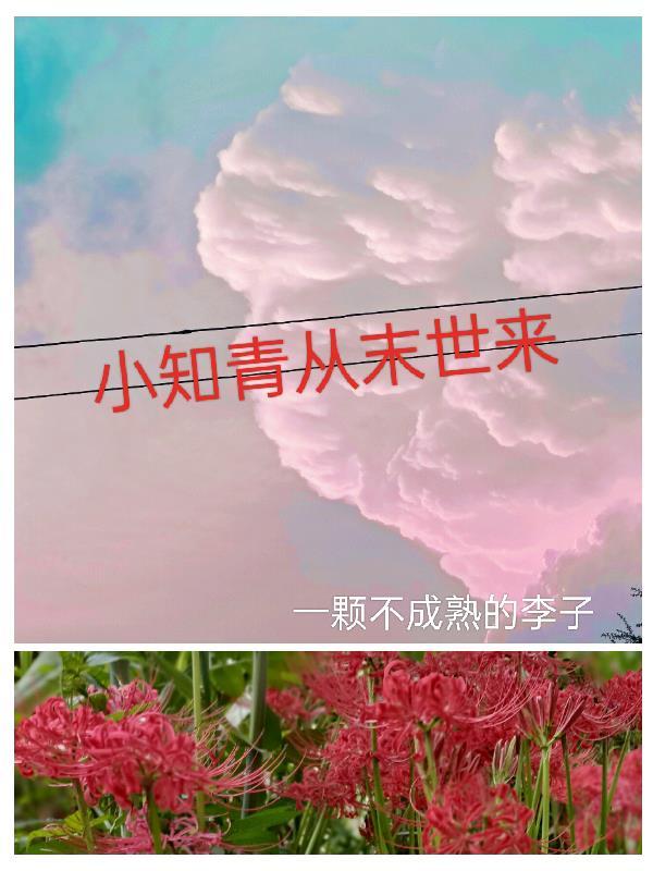 穿越知青是末世女