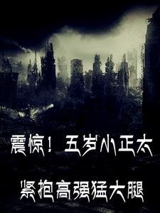 小正太跟大人视频