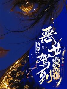 快穿爽文集txt百度