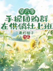 手握团购群在供销社上班TXT