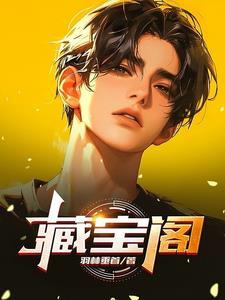 藏宝阁vivo渠道服