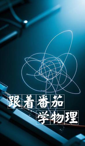 跟着番茄学物理可以吗