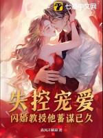 闪婚教授娇妻