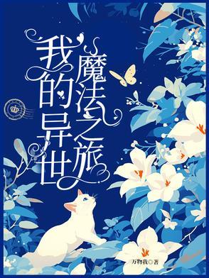 我的异世魔法之旅免费阅读