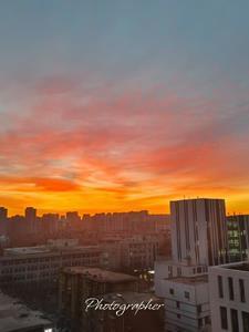 女帝最后出场是第几集