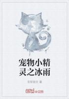 宠物小精灵冰系神兽