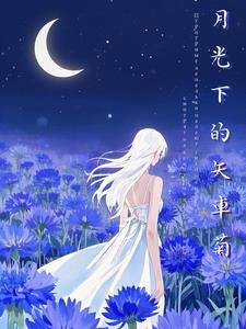 月光下的小汽车阅读及答案