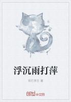 真是身世浮沉雨打萍