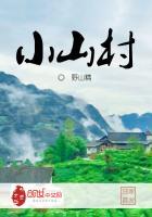 小山村的神秘来客