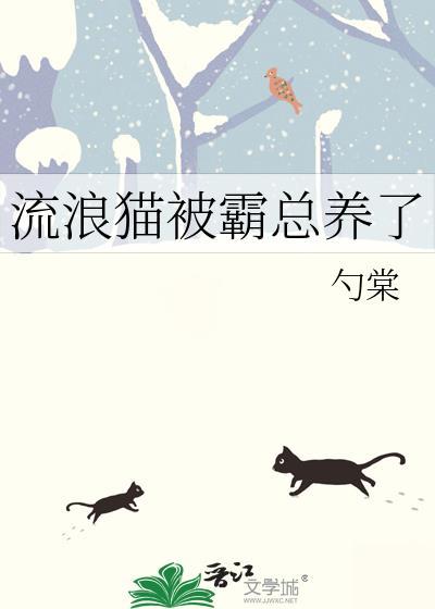 被一只流浪猫选中了