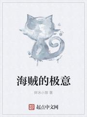 海贼之海军的极