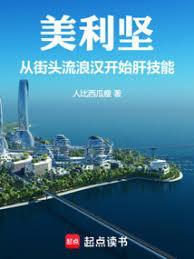 美利坚从街头流浪汉开始肝技能篱笆好