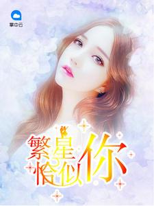 繁星似锦什么意思