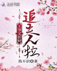 王爷王妃又逃婚了免费阅读