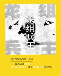 龙组兵王尘风百度百科