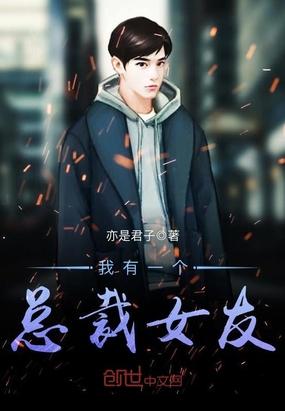 我的总裁女友游戏解说