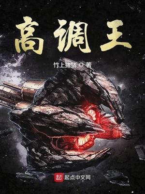 高调王知乎评价