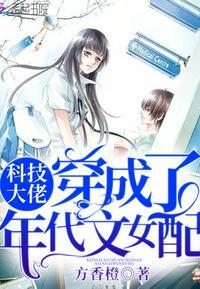 年代文里的科技大佬