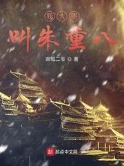 我大哥叫朱重八有声