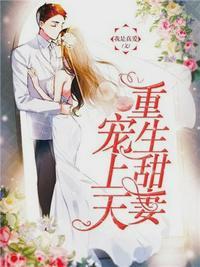 重生暖婚宋辞霍慕沉全文免费阅读