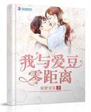 我与爱豆