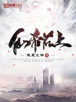 仙帝以上的境界