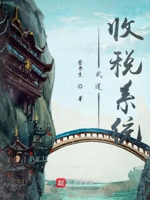 武道征税系统