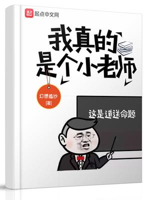 我真的是语文老师作者aaron