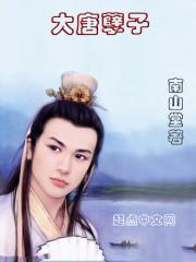 醒掌天下权李宽大唐孽子