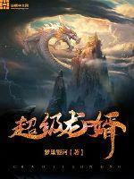 超级龙婿视频完整版