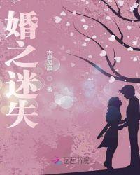 新婚之谜txt