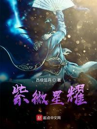 紫微星耀 贵人星临