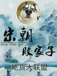 宋朝败家子双儿结局嫁给谁了