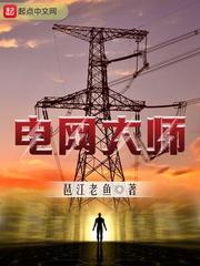 电网大师123