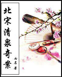 北宋清泉奇案txt百度