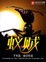 蚁贼是什么意思