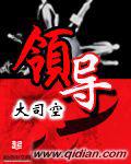 领导强调推进数字中国峰会筹备