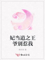 王妃当官