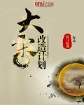 大宋改造计划最新章节