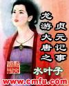 龙游大唐之贞元记事 txt