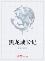 黑龙记省地图