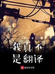 我不是翻译句子