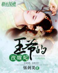 王爷王妃已改嫁