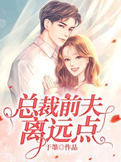 总裁前夫系列